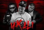 Y Cool ft Stevo & Tommy D – Ukali Mp3 Download