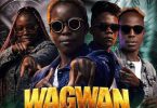 Abena Swanky T ft Akapondo Baraba - Wagwan Mp3 Download